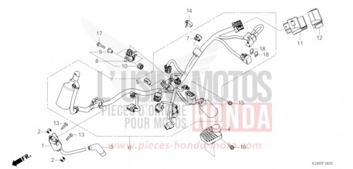 WIRE HARNESS CRF125FS de 2025